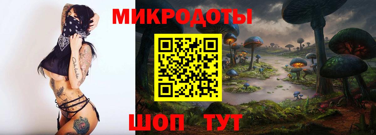 Галлюциногенные грибы прущие грибы Шахты